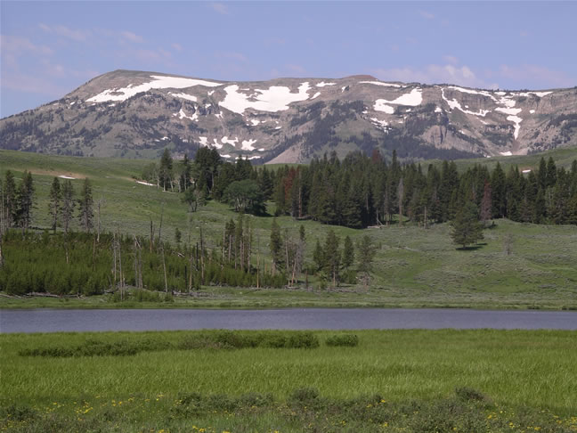 images/F-on the way to Mammoth Hot Spring (3).jpg